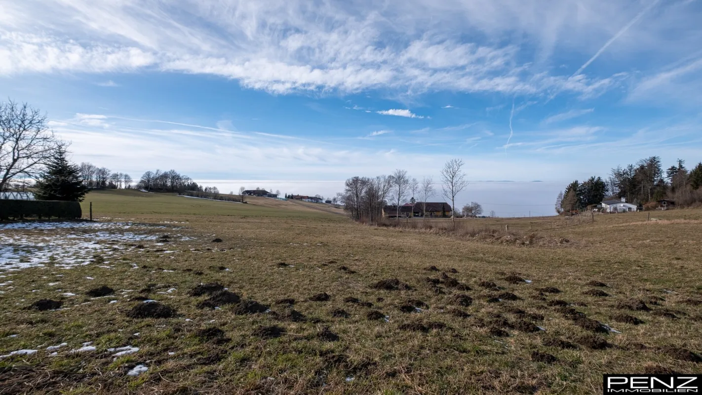 EIDENBERG:Traumhafte Aussicht auf dem Baugrundstück - Bild 1