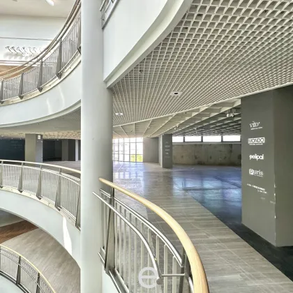 Attraktive und günstige Lagerflächen ab 1.000 m² zu mieten - Bild 3