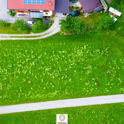 Traumhaftes Baugrundstück in Stumm im Zillertal - Bild 2