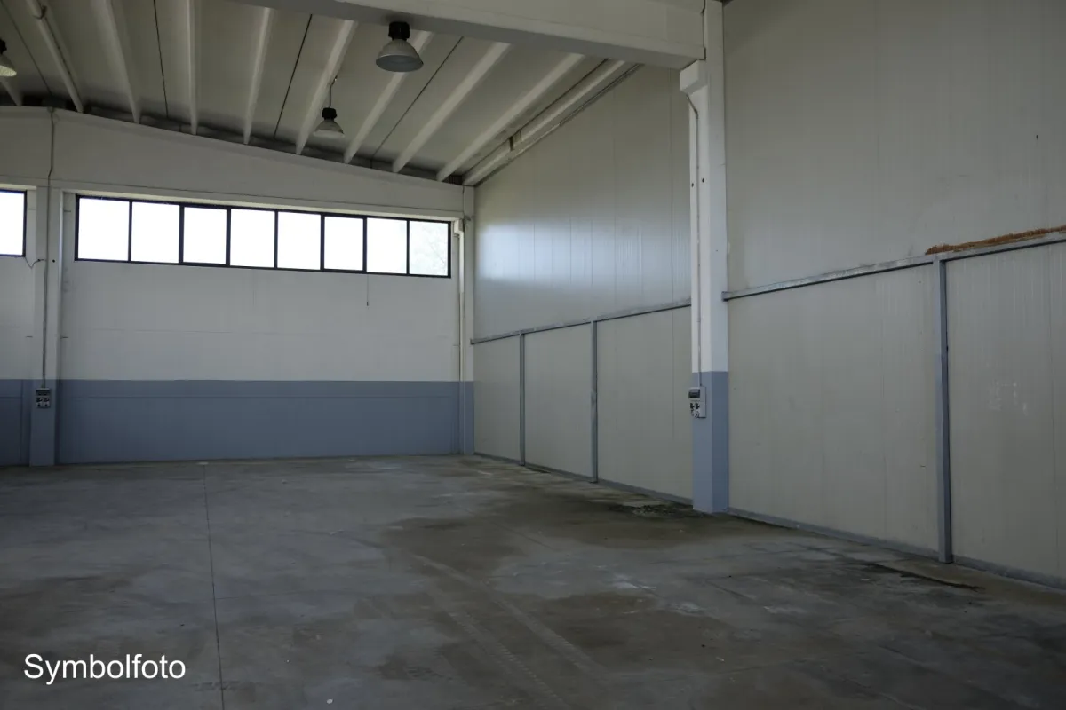 Traiskirchen - Lagerhalle mit kleinem Büro - Gesamtfläche ca. 1.500 m² - zu mieten - Bild 1
