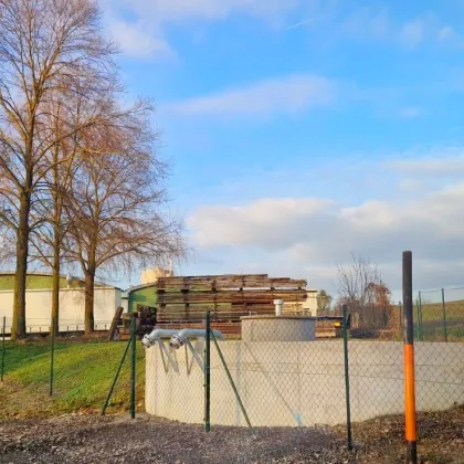 Produktions- und Lagerhalle mit 1620 m² Nähe Grieskirchen – zur Miete/Kauf MÖGLICH - Bild 3