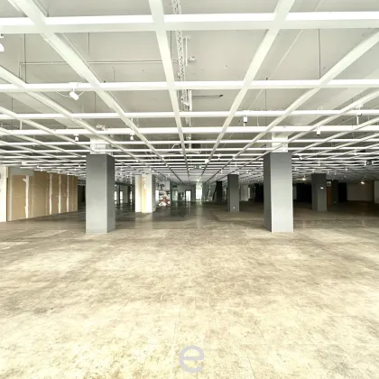 Attraktive und günstige Lagerflächen ab 3.000 m² zu mieten - Bild 2