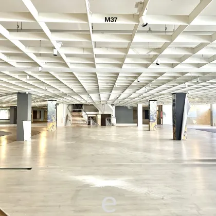 Attraktive und günstige Lagerflächen ab 3.000 m² zu mieten - Bild 3