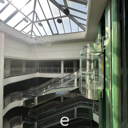 Attraktive und günstige Lagerflächen ab 6.000 m² zu mieten - Bild 2