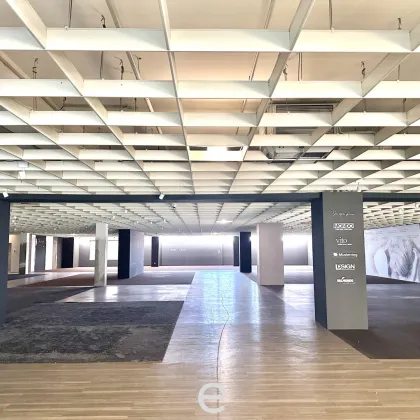 Attraktive und günstige Lagerflächen ab 6.000 m² zu mieten - Bild 3