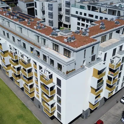 Arakawa – Wohnoase in Bestlage direkt bei der U1 – Ihr neues Zuhause inmitten von Ruhe und Urbanität - Bild 3