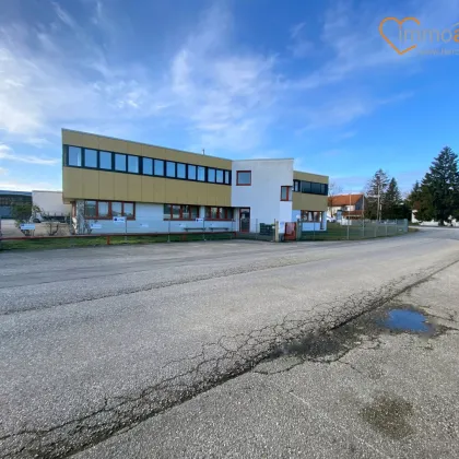 Büro- und Lagerfläche in Marchtrenk – direkt an der B1 zu vermieten! - Bild 3