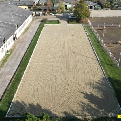 Exklusive Reitsportanlage vor den Toren Wiens – 145 Boxen | Reithallen | Reitplätze | Koppeln | Villa & Personalwohnungen - Bild 2