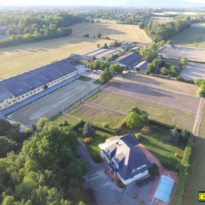 Exklusive Reitsportanlage vor den Toren Wiens – 145 Boxen | Reithallen | Reitplätze | Koppeln | Villa & Personalwohnungen - Bild 3