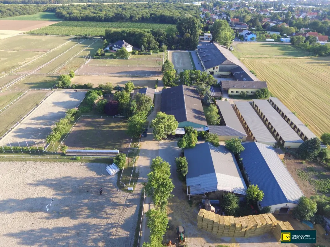 Exklusive Reitsportanlage vor den Toren Wiens – 145 Boxen | Reithallen | Reitplätze | Koppeln | Villa & Personalwohnungen - Bild 1
