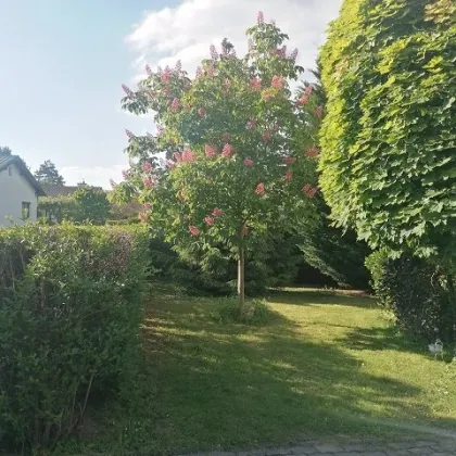 Ein-/ Mehrfamilienhaus mit herrlichem Garten in Ruhelage - Bild 2