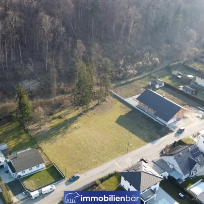 Ebenes Baugrundstück in Pucking - ohne Bauzwang - zu verkaufen - Bild 3
