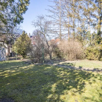 Zwei Baugrundstücke in Essling – 1.730 m² für Ihr nächstes Bauträgerprojekt! - Bild 2
