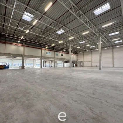 Halle für Produktion und Lager zu vermieten! - Bild 3