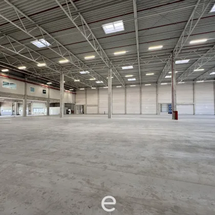 Halle für Produktion und Lager zu vermieten! - Bild 2