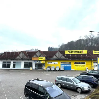 Vermietung einer attraktiven Geschäftsfläche in Hochfrequenzlage an der B137 - Bild 3