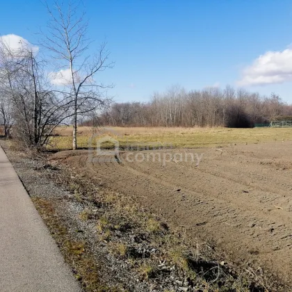 Traumhaftes Baugrundstück in Loimersdorf – 1079 m² für Ihre Zukunft! - Bild 3