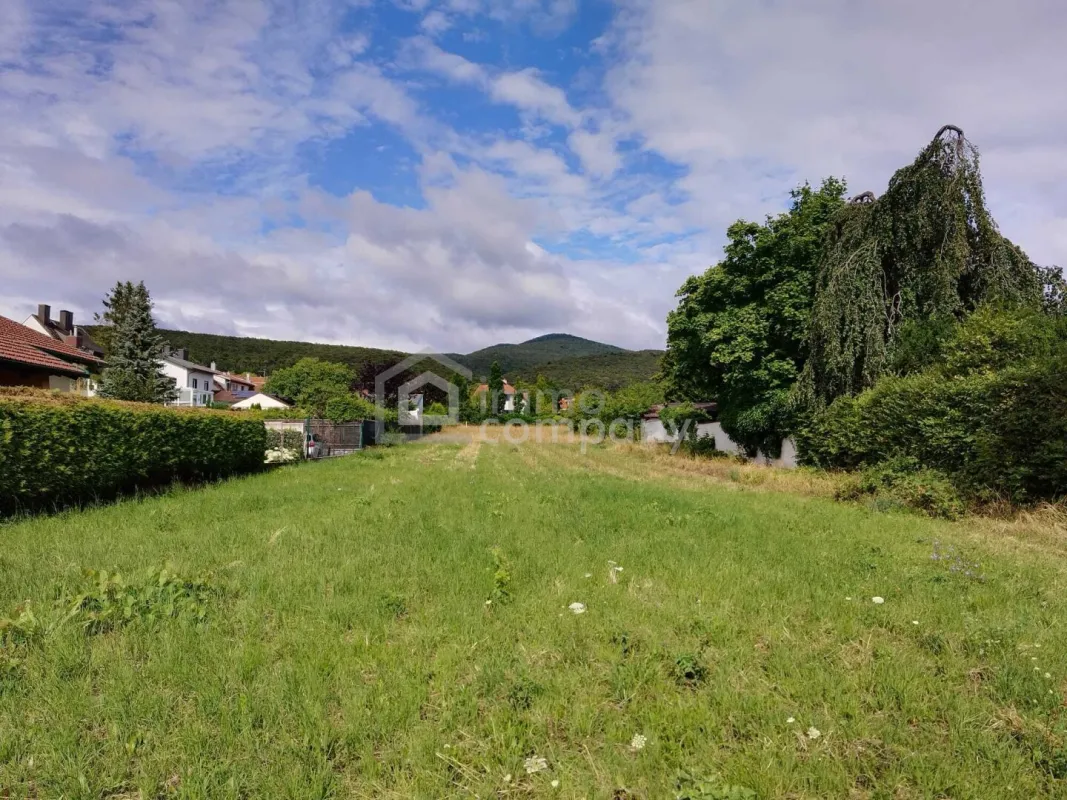 Besonderes Baugrundstück in Grünruhelage mit Fernblick in den Weinbergen - Bild 1