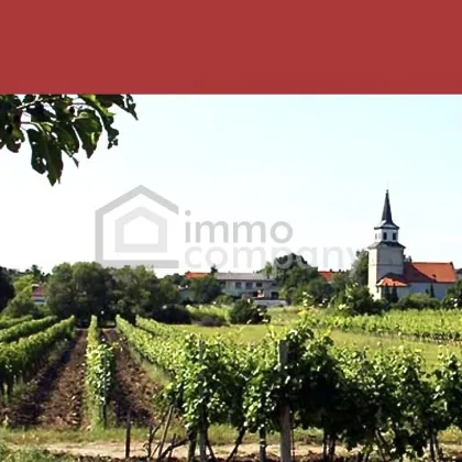 Besonderes Baugrundstück in Grünruhelage mit Fernblick in den Weinbergen - Bild 3