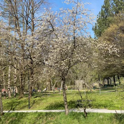 NEUER PREIS: NÄHE RAUCHENBICHLGUT - Schöne 4-Zimmer-Wohnung mit Loggia, Tiefgaragenplatz - Bild 2