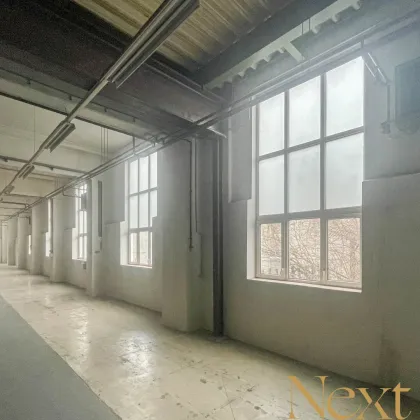 Lager-/Produktionshalle in verkehrstechnisch optimaler Lage von Enns zu vermieten! Teilbar! - Bild 2