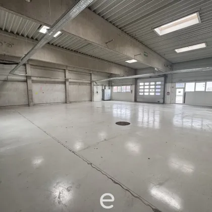 Lagerfläche mit Büros Wels Terminal - ab sofort zu mieten, befristet - Bild 2