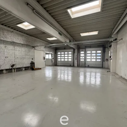 Lagerfläche mit Büros Wels Terminal - ab sofort zu mieten, befristet - Bild 3