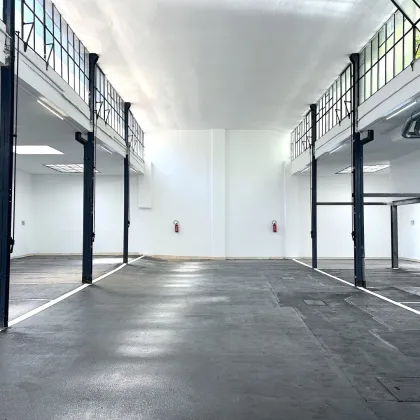 GARAGENSTELLPLÄTZE IN BEEINDRUCKENDEM HOFGEBÄUDE IN DER ZIEGLERGASSE - Bild 2