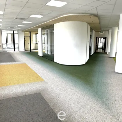 Modern sanierte Büroflächen in Wien – flexible Anmietung möglich! - Bild 3