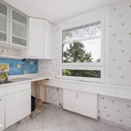 2540 Bad Vöslau Sehr helle und ruhige 4-Zimmer Wohnung mit Loggia am Waldesrand in Thermalbad-Nähe - Bild 3