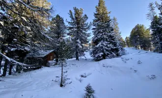 ZWEITWOHNSITZTAUGLICH! Grundstück in idyllischer Lage auf der Turracher Höhe