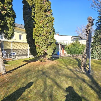 Pacht | U1 Leopoldau | Helles Ein- oder Zweifamilienhaus in Ruhelage - Bild 3