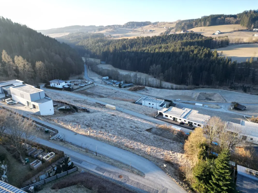 Naturnahes Grundstück in Haibach im Mühlkreis – 907 m² mit Waldblick und guter Anbindung - Bild 1