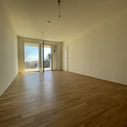 Helle 2-Zimmer-Wohnung mit perfekter Ausrichtung und großzügigem Balkon! - Bild 3