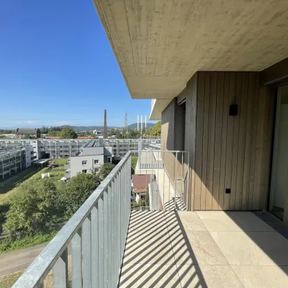 Helle 2-Zimmer-Wohnung mit perfekter Ausrichtung und großzügigem Balkon! - Bild 2