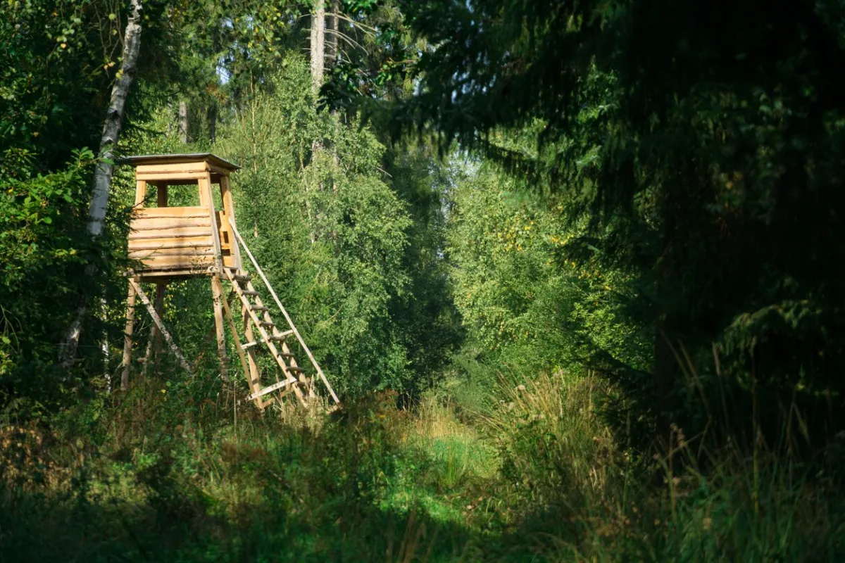 Exklusives Waldgrundstück in Döbling, Nähe Krapfenwaldbad - Bild 1