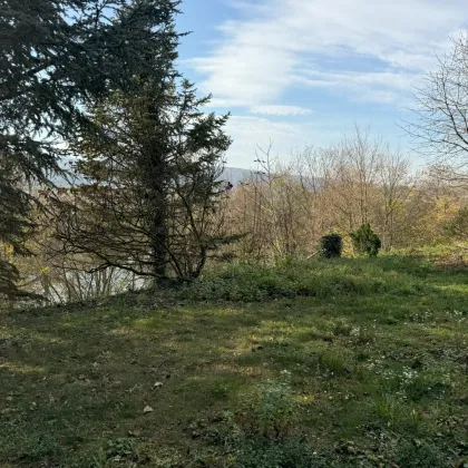 Grundstück in erster Reihe mit Seeblick und kleinem Wochenendhaus - Bild 3