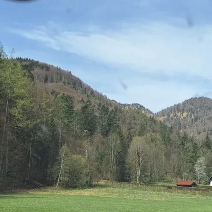 HINTERSEE NAHE SEE UND FAISTENAU! Geräumige 3-Zi-Gartenwohnung in Holzbauweise zu Salzburgs günstigstem Neubaupreis + WBF 2025!! - Bild 2