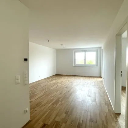 Wohnen am Badeteich Hirschstetten - Provisionsfrei Kaufen - Bild 3