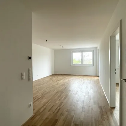 Wohnen am Badeteich Hirschstetten - Provisionsfrei Kaufen - Bild 3