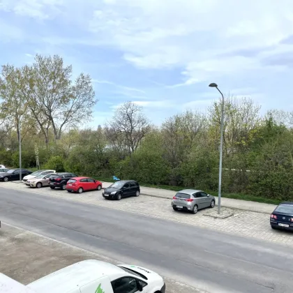 Wohnen am Badeteich Hirschstetten - Provisionsfrei Kaufen - Bild 3