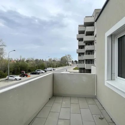 Wohnen am Badeteich Hirschstetten - Provisionsfrei Kaufen - Bild 2