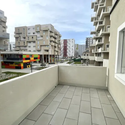 Wohnen am Badeteich Hirschstetten - Provisionsfrei Kaufen - Bild 2