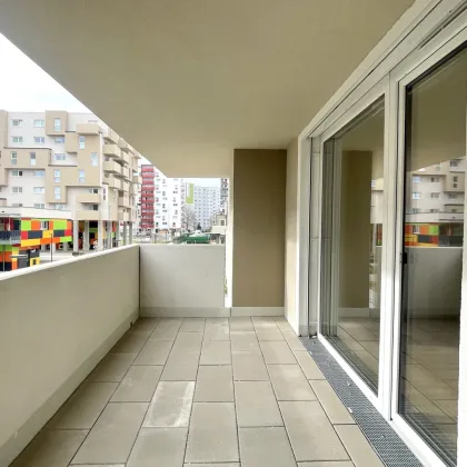 Wohnen am Badeteich Hirschstetten - Provisionsfrei Kaufen - Bild 2