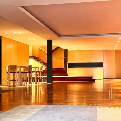 Nußdorfer Platz: Hochwertiges Büro 608 m² mit großer Terrasse  -   MIETE  10 € / m² - Bild 2