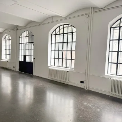 Loft zur gewerblichen Nutzung im 6. Bezirk - viel Raum für Kreativität und Ruhe ( Top 2 ) - Bild 2