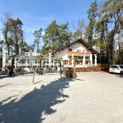 Traditionelles Gasthaus in Hard – Eine einmalige Gelegenheit - Bild 2