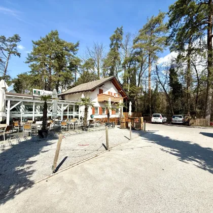 Traditionelles Gasthaus in Hard – Eine einmalige Gelegenheit - Bild 3