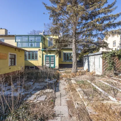Top Grundstück in Essling – 865 m² mit Altbestand und großem Entwicklungspotential! - Bild 3