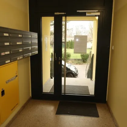 Wohnung im 3. Liftstock mit Loggia - Bild 3